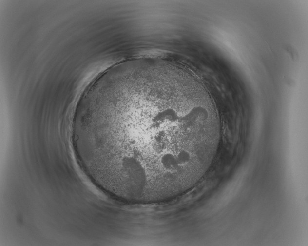 X0000114080049200910191550