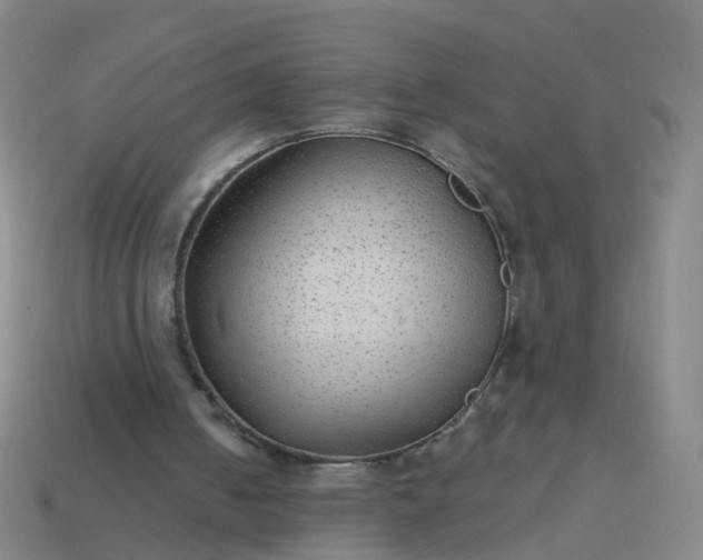 X0000114080050200910191550