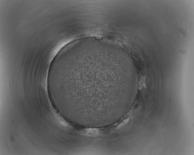 X0000114080052200910191550