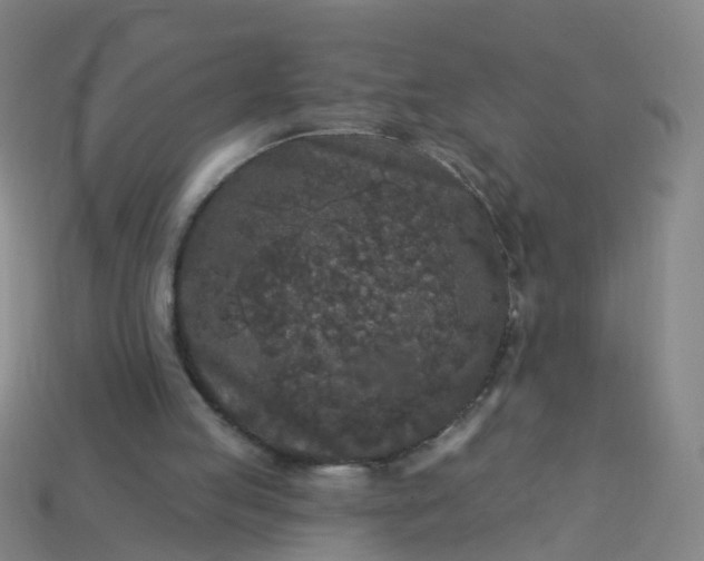 X0000114080053200910191550