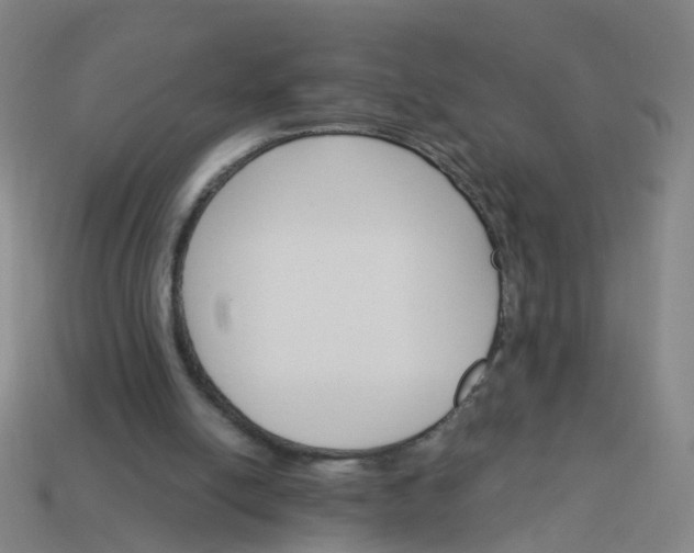 X0000114080054200910191550