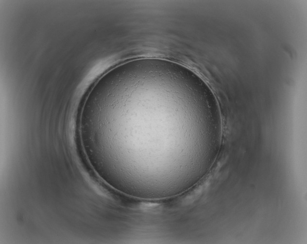 X0000114080055200910191550