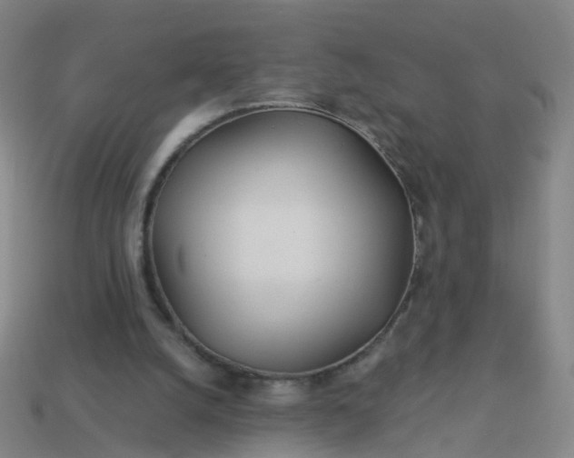 X0000114080056200910191550