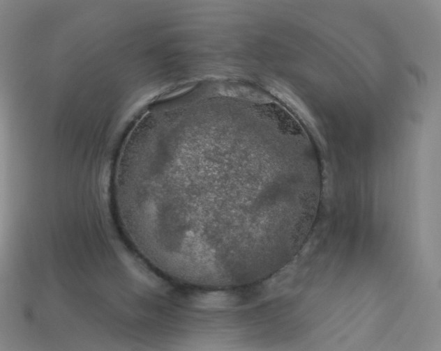 X0000114080058200910191550