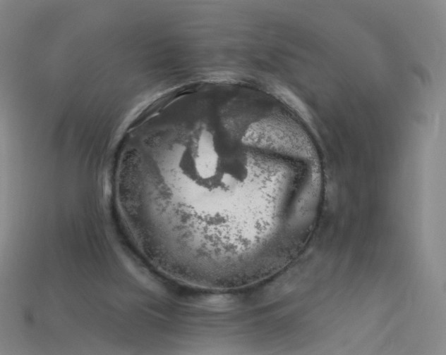 X0000114080059200910191550