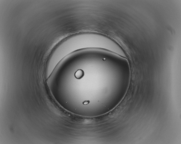 X0000114080060200910191550