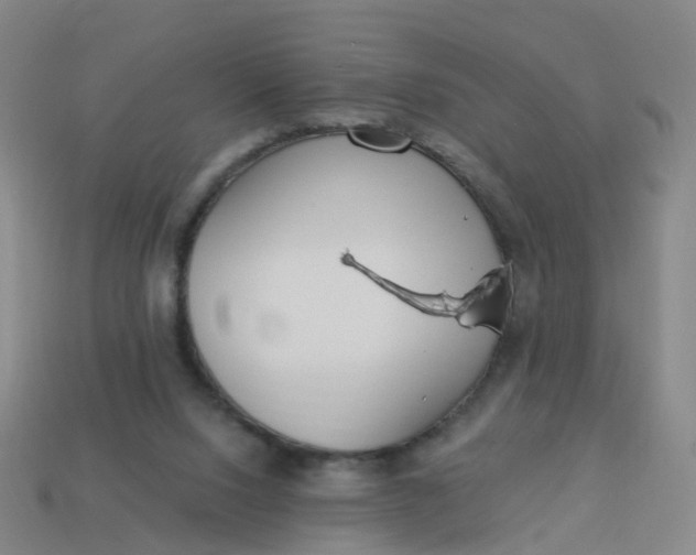 X0000114080064200910191551