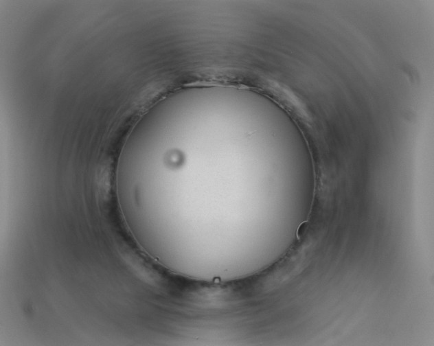 X0000114080065200910191551