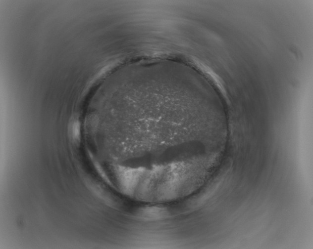 X0000114080067200910191551