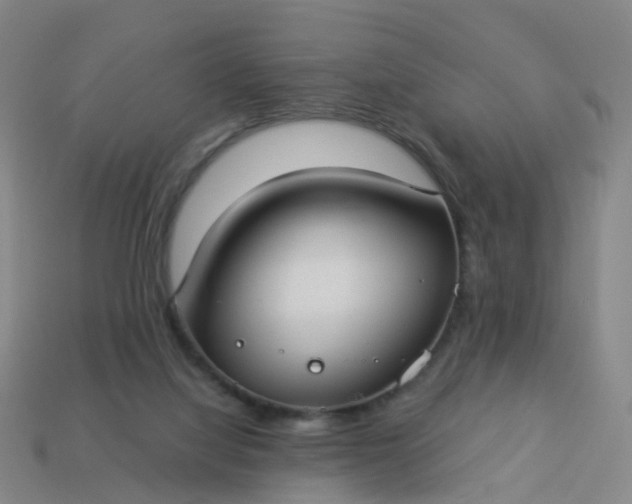 X0000114080068200910191551