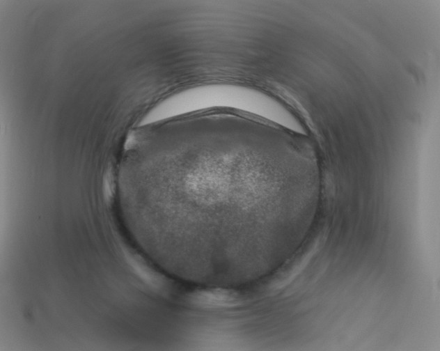 X0000114080069200910191551