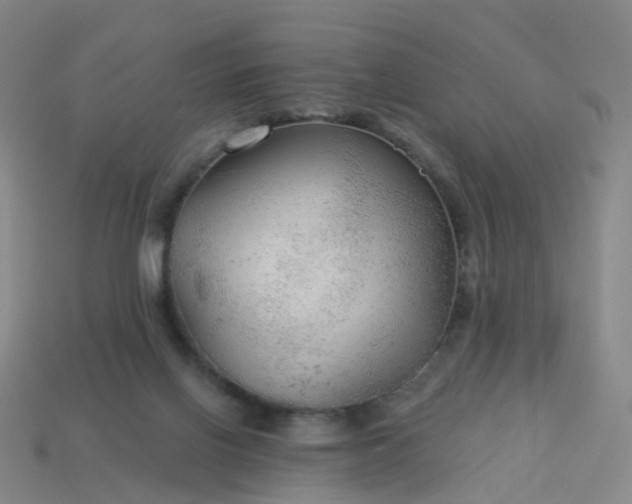 X0000114080070200910191551