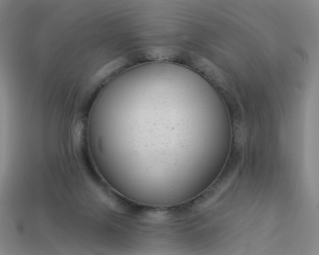 X0000114080071200910191551