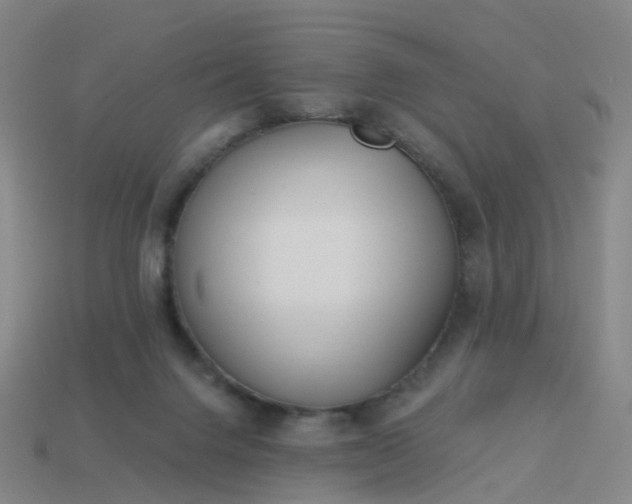 X0000114080072200910191551