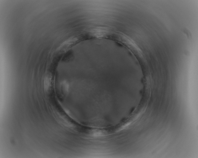 X0000114080073200910191551