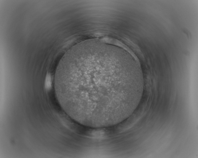 X0000114080075200910191551