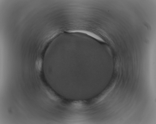 X0000114080076200910191551