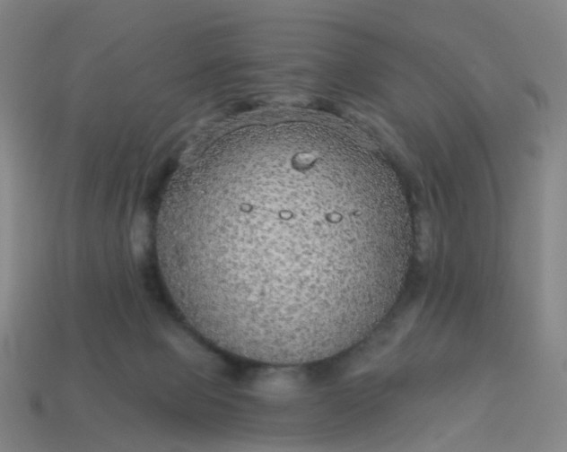 X0000114080077200910191551