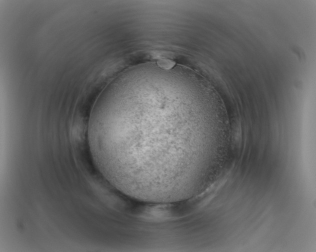 X0000114080078200910191551