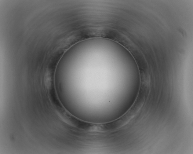 X0000114080080200910191551