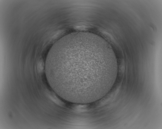 X0000114080081200910191551