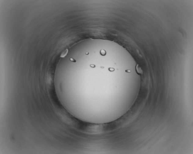 X0000114080084200910191551