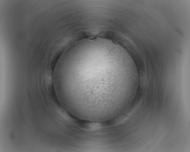 X0000114080085200910191551