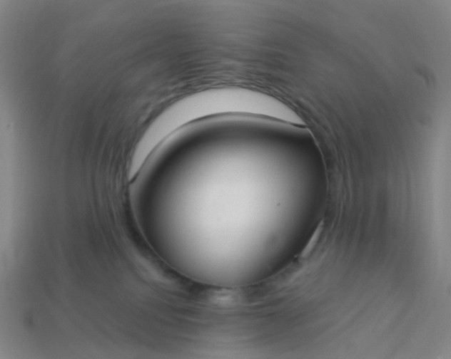 X0000114080088200910191551