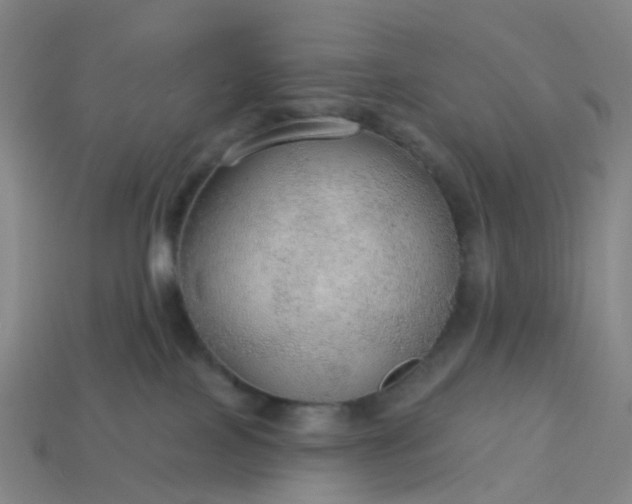 X0000114080089200910191551