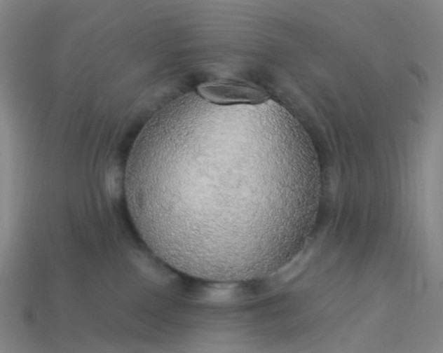 X0000114080090200910191551