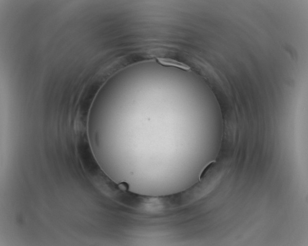 X0000114080091200910191551