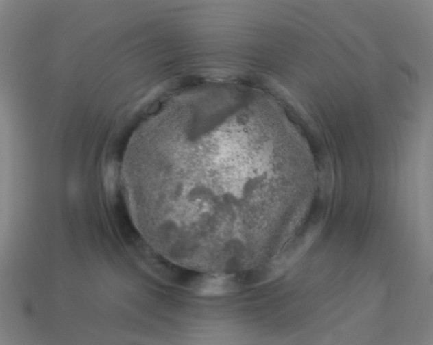 X0000114080093200910191551