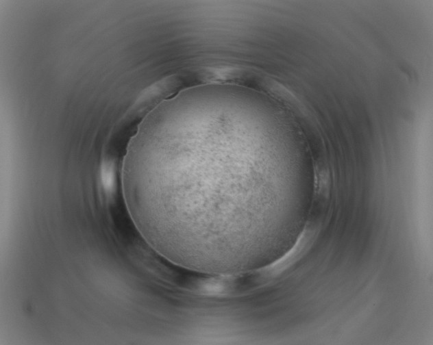 X0000114080094200910191551