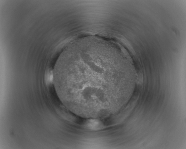 X0000114080095200910191551