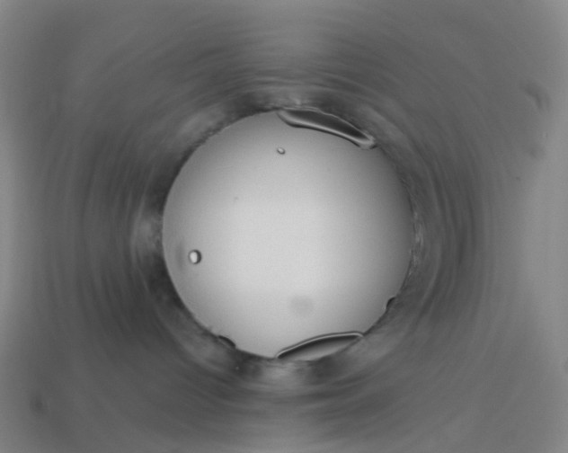 X0000114080096200910191551