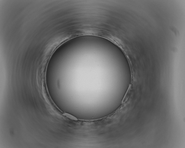 X0000114080097200910191550