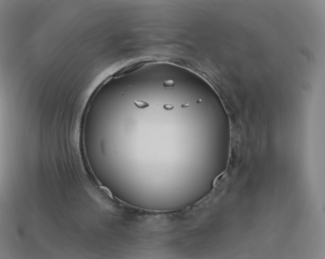 X0000114080100200910191550