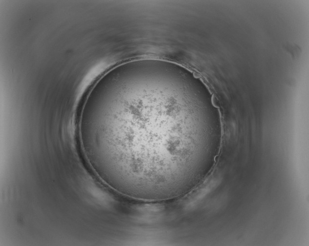 X0000114080102200910191550