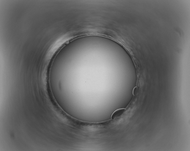 X0000114080103200910191550