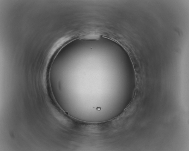 X0000114080104200910191550