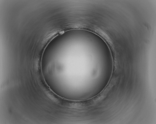 X0000114080105200910191550