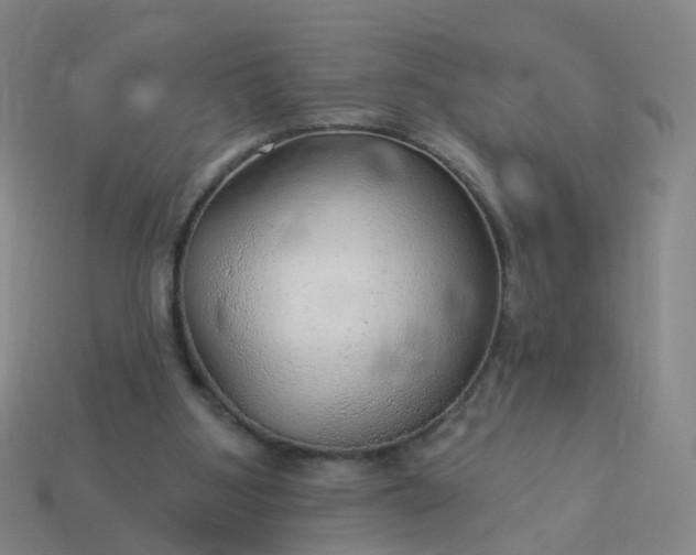 X0000114080107200910191550