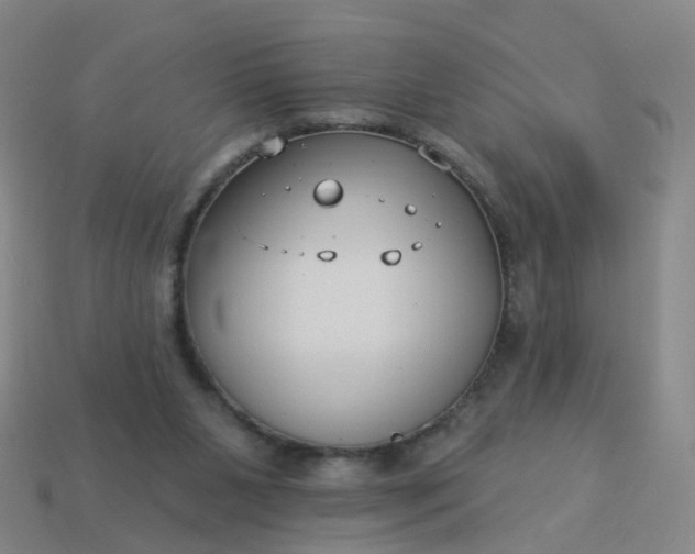 X0000114080111200910191550