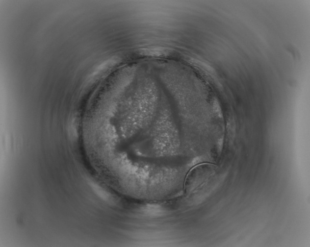 X0000114080114200910191550