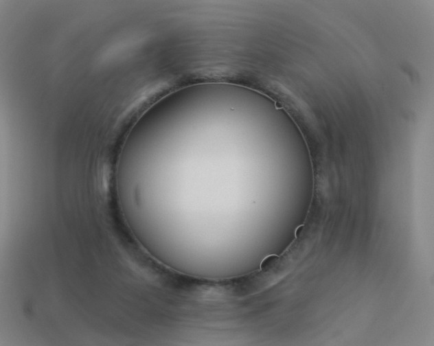 X0000114080115200910191550