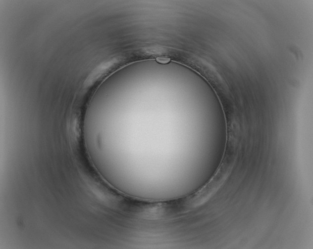 X0000114080116200910191550