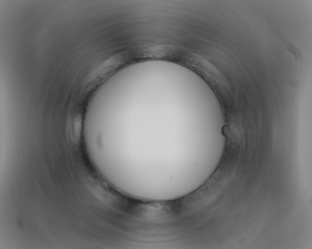 X0000114080118200910191550