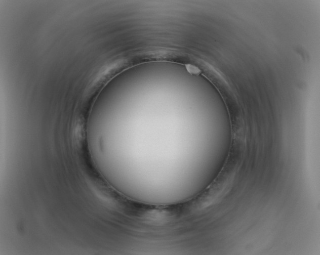 X0000114080119200910191550