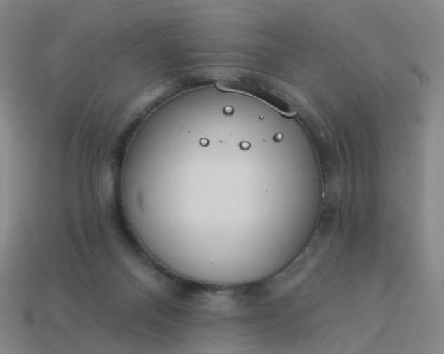 X0000114080120200910191550