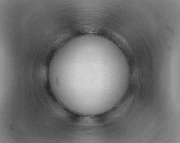 X0000114080121200910191550